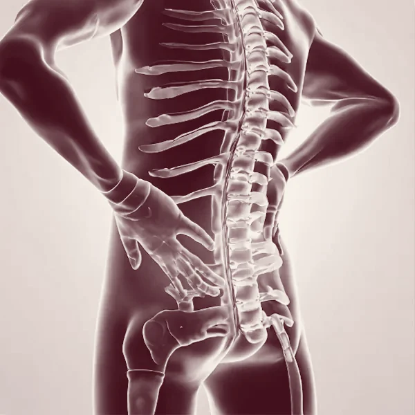 Prévention des troubles musculo-squelettiques